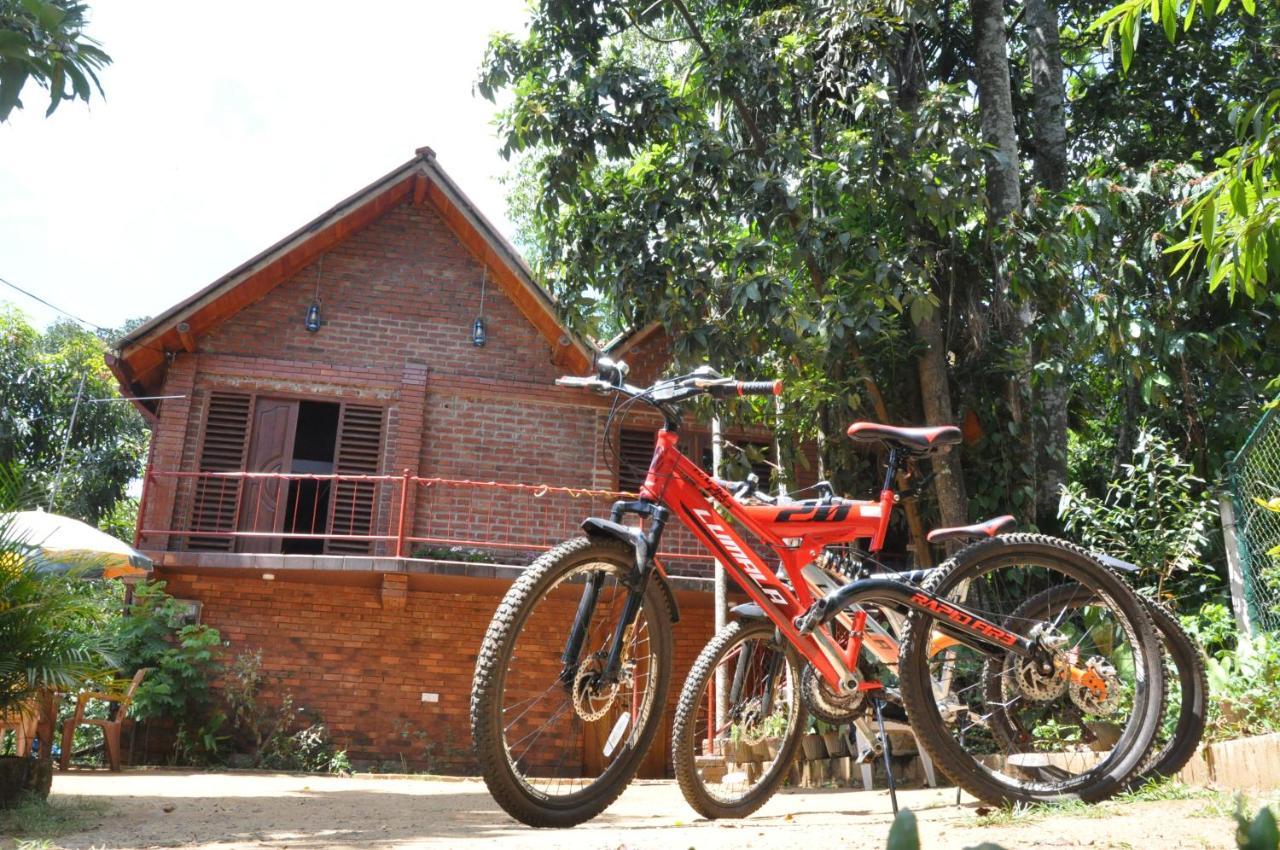 Dew Lee Homestay Ella Ngoại thất bức ảnh